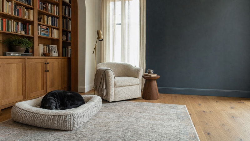 A black Labrador with a slightly grey muzzle curled up asleep on a cable-knit dog bed in a cozy living room