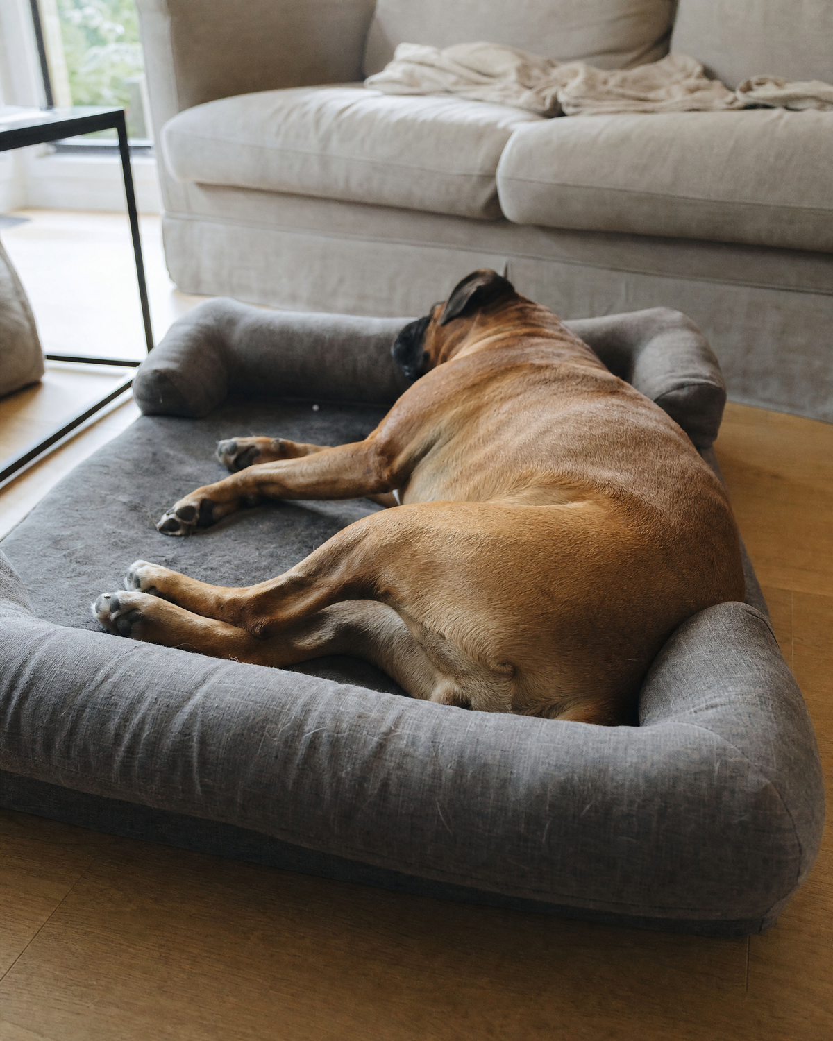 A boxer sleeping on its side on a grey sofa-style dog bed with raised sides