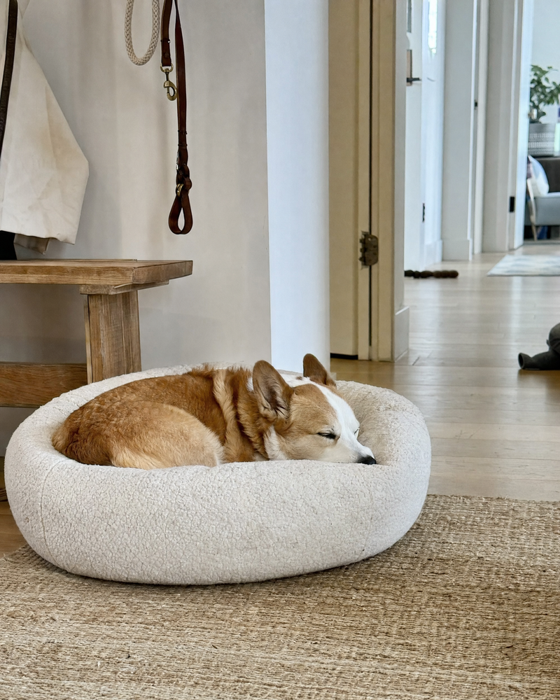 A corgi curled up asleep in a round cream donut bed on a woven rug