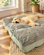 Lit plat côtelé pour chien dans un salon lumineux