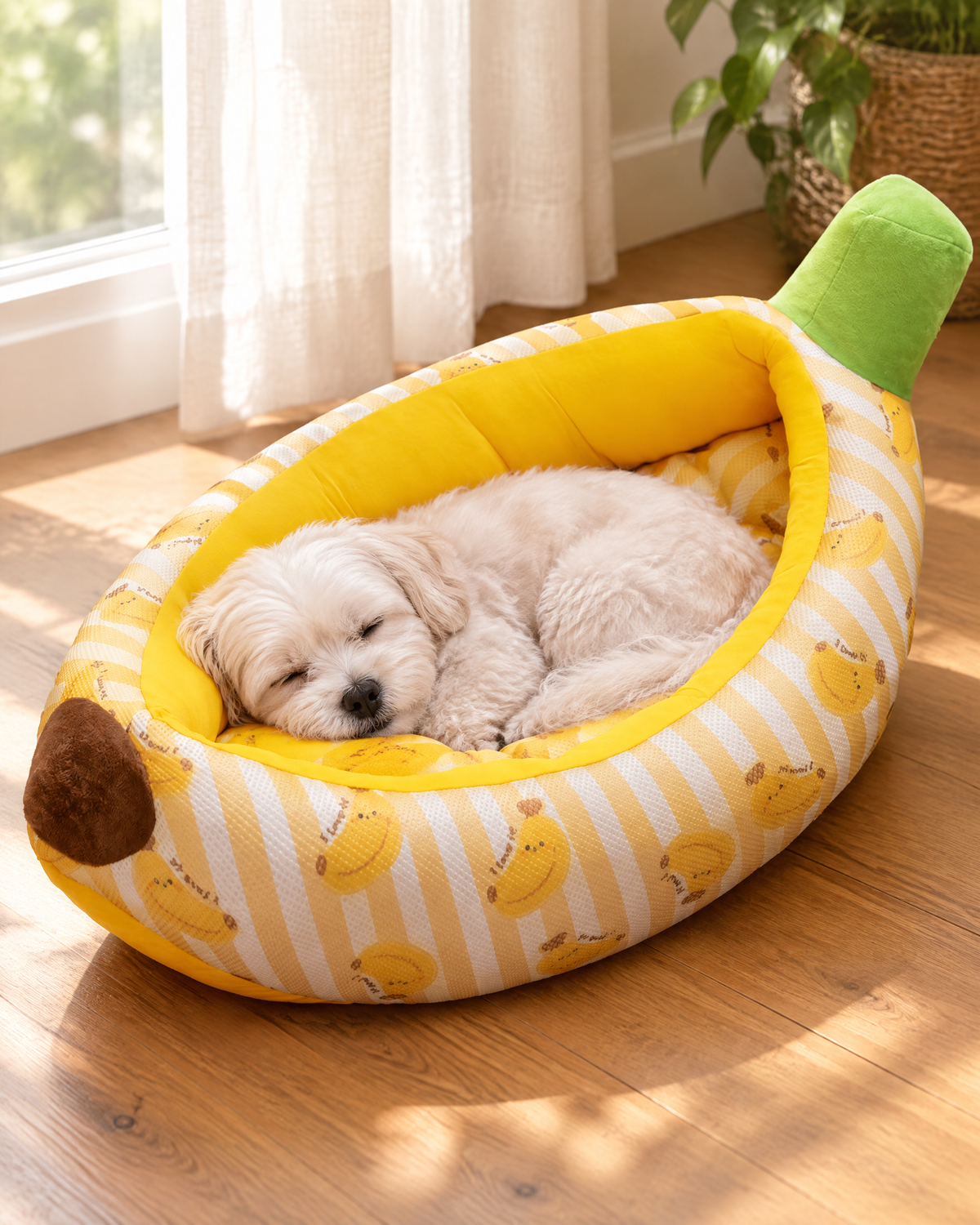 Oval Dog Bed with Wraparound Rim in a bright living room