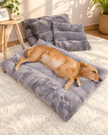 Quilted Plush Dog Bed Cushion in a bright living room