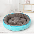 Oval Dog Bed with Bolster Rim in Turquoise
