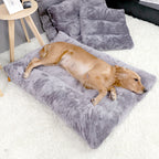 Quilted Plush Dog Bed Cushion in use