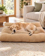 Washable Flat Dog Bed in a bright living room