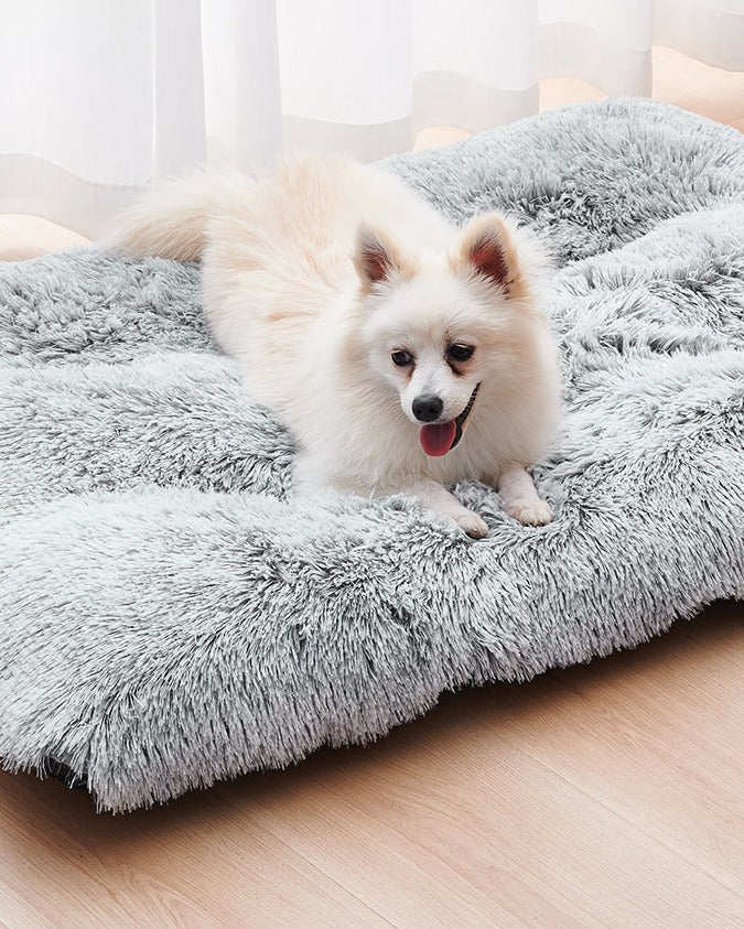 Shaggy Plush Dog Mattress in use