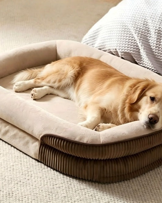 XL Oval Dog Bed with Ribbed Sides in use