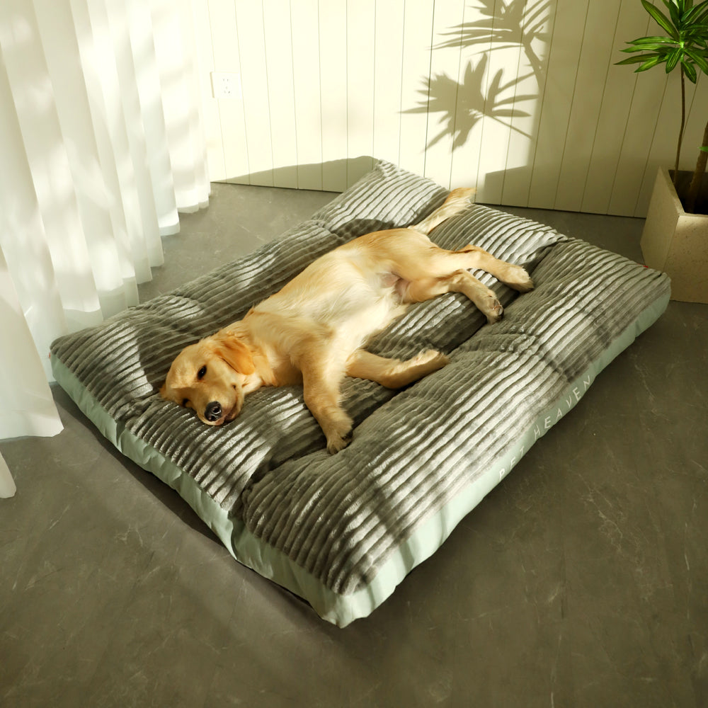 Lit plat côtelé pour chien en situation, photo 5