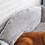 High-Back Dog Sofa Bed