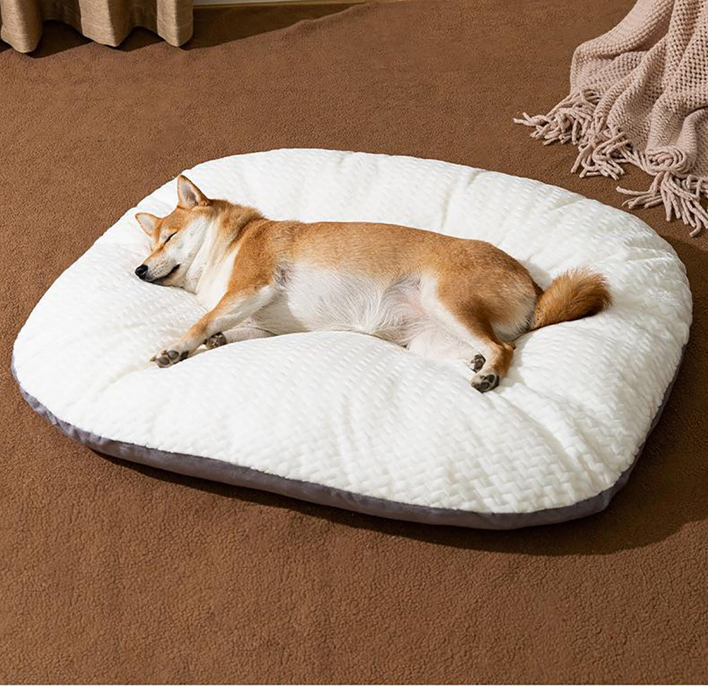 Woven-Texture Oval Dog Bed Cushion