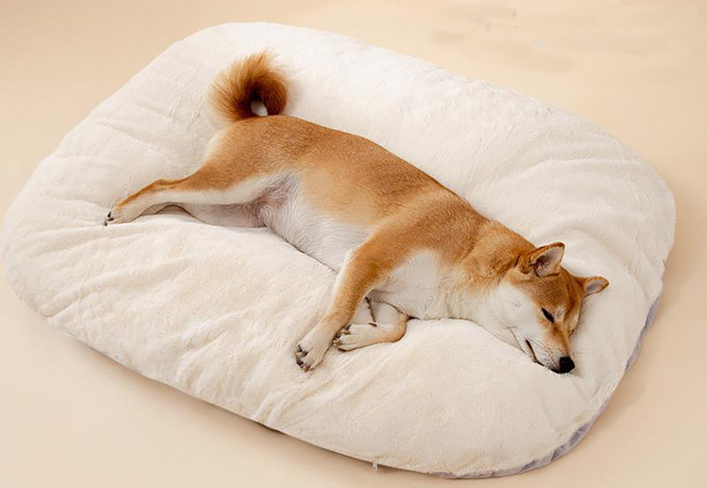 Woven-Texture Oval Dog Bed Cushion in use
