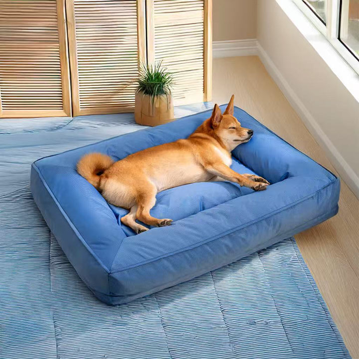 Large Dog Bed with Bolster Sides in use