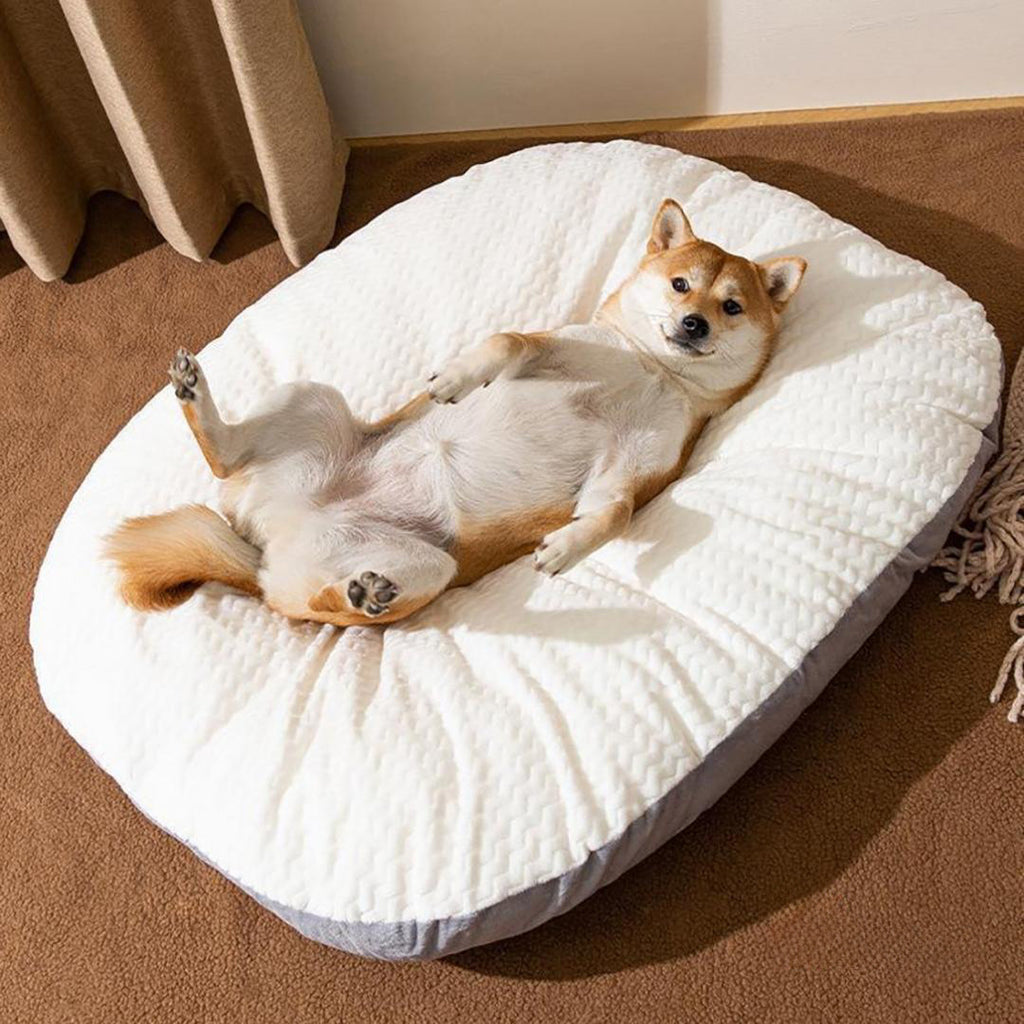 Woven-Texture Oval Dog Bed Cushion in use