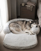 Husky resting its head on the rim of a light grey extra-large plush dog bed in a bedroom