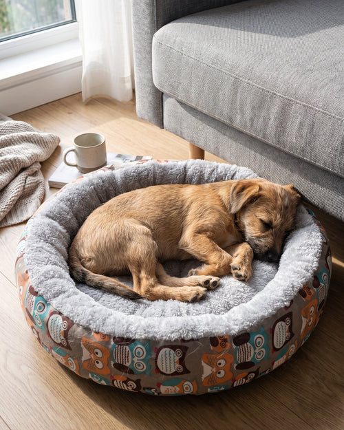Cartoon-Print Donut Dog Bed with a small dog asleep in it