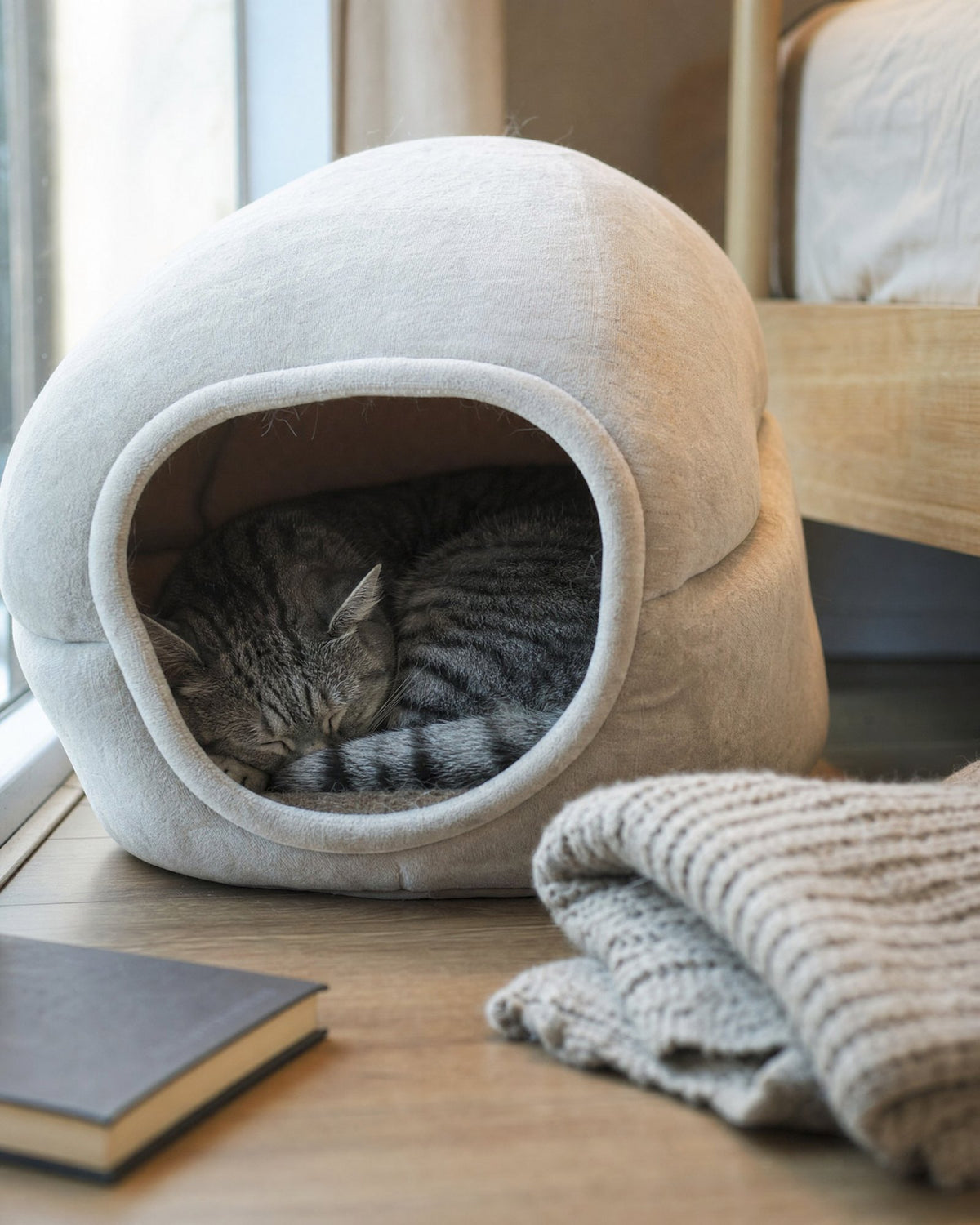 Tabby cat asleep inside a hooded cave bed