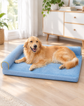Light blue dog bed with raised bolster in a bright living room